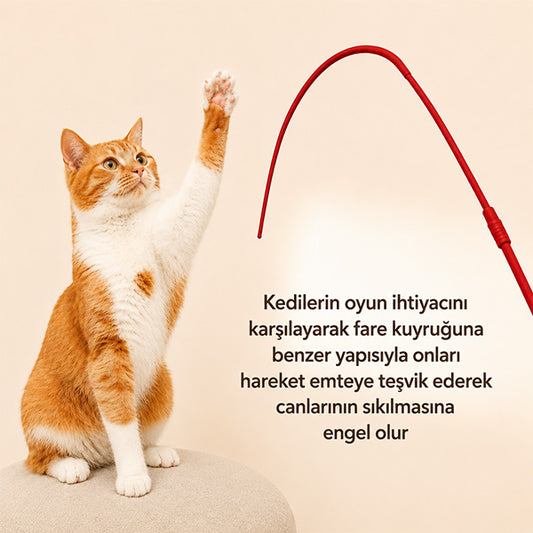 Silikon Başlıklı Kedi Oyuncağı