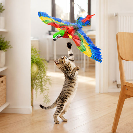 Uçan Papağan Kedi Oyuncağı