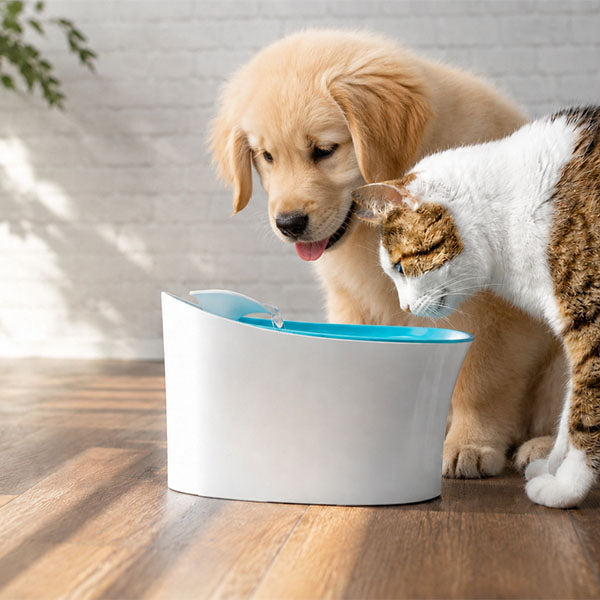 Otomatik Uyarılı Kedi Köpek Su Kabı