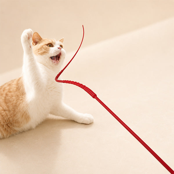 Silikon Başlıklı Kedi Oyuncağı