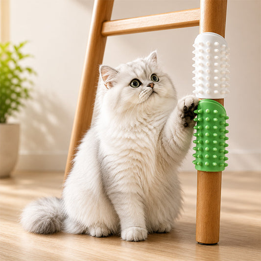 Silikon Kedi Kaşıma Fırçası