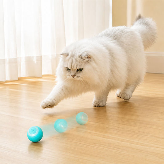 İnteraktif Kedi Köpek Şarjlı Oyun Topu