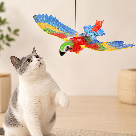 Uçan Papağan Kedi Oyuncağı