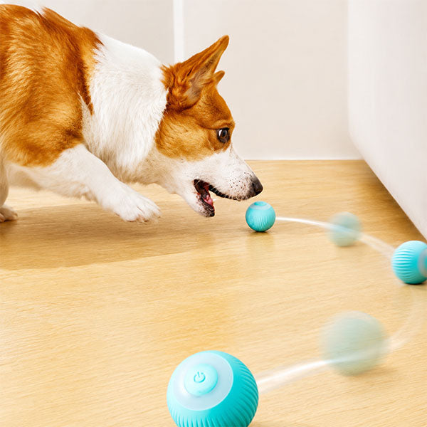 İnteraktif Kedi Köpek Şarjlı Oyun Topu