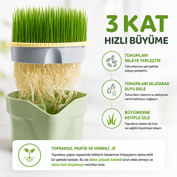Topraksız Suda Kedi Çimi Yetiştirme Kiti + 12 Aylık Tohum