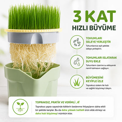 Topraksız Suda Kedi Çimi Yetiştirme Kiti + 12 Aylık Tohum