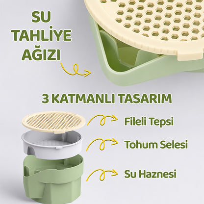 Topraksız Suda Kedi Çimi Yetiştirme Kiti