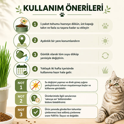 Topraksız Suda Kedi Çimi Yetiştirme Kiti + 12 Aylık Tohum