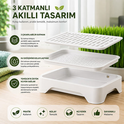 Topraksız Suda Kedi Çimi Yetiştirme Kiti Versiyon 2