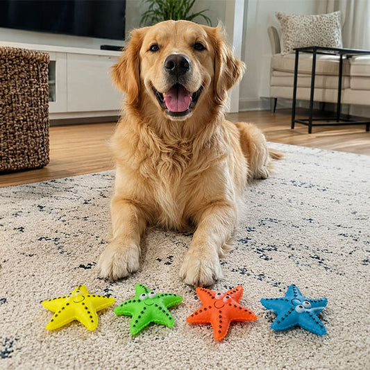 Köpekler İçin Denizyıldızı Figürlü Çiğneme Oyuncağı