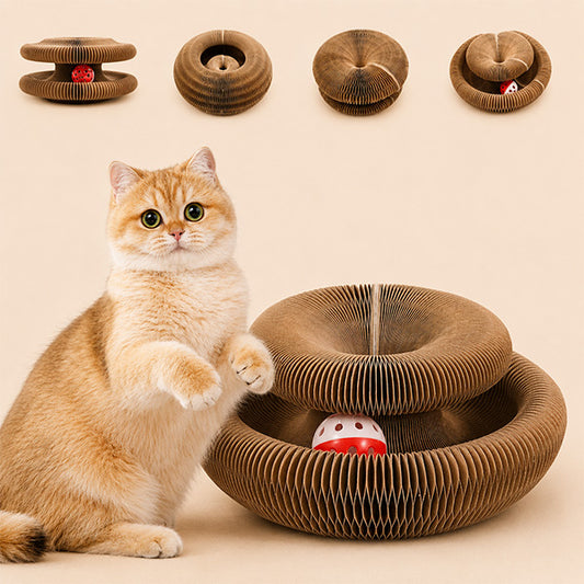 İnteraktif Karton Kedi Oyuncağı