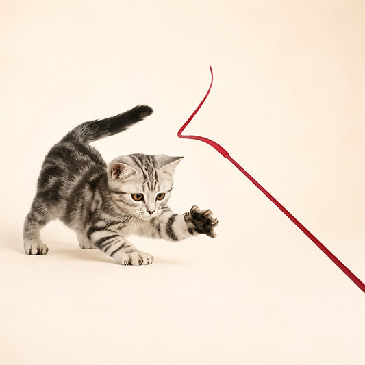 Silikon Başlıklı Kedi Oyuncağı