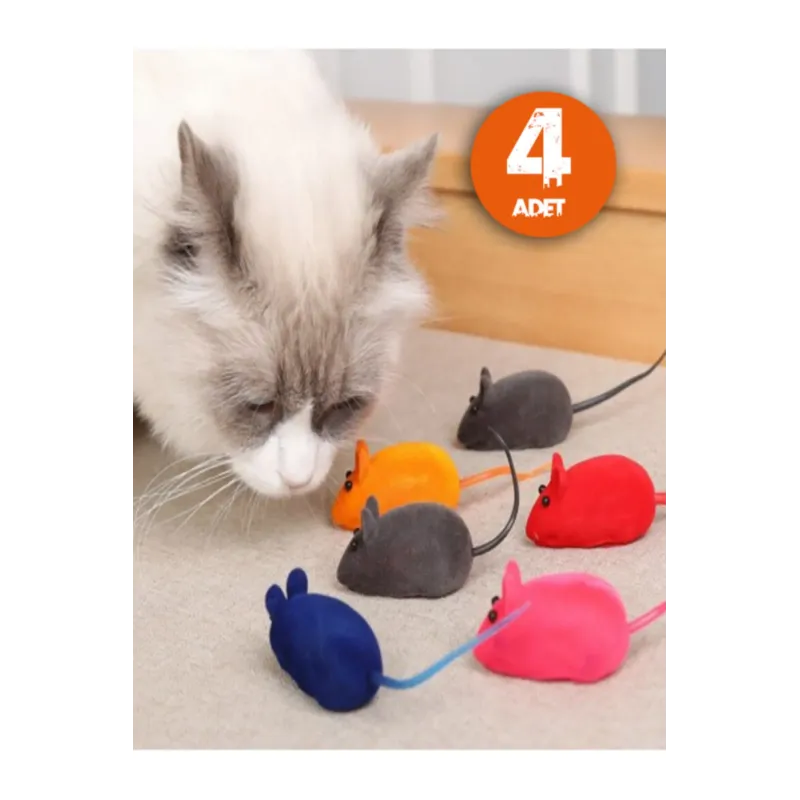 Kedi Oyun Paketi