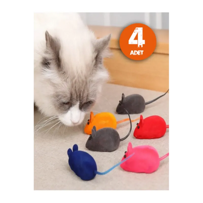 Kedi Oyun Paketi