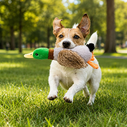 Sesli Ördek Şekilli Peluş Köpek Oyuncağı