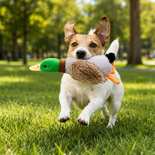 Sesli Ördek Şekilli Peluş Köpek Oyuncağı