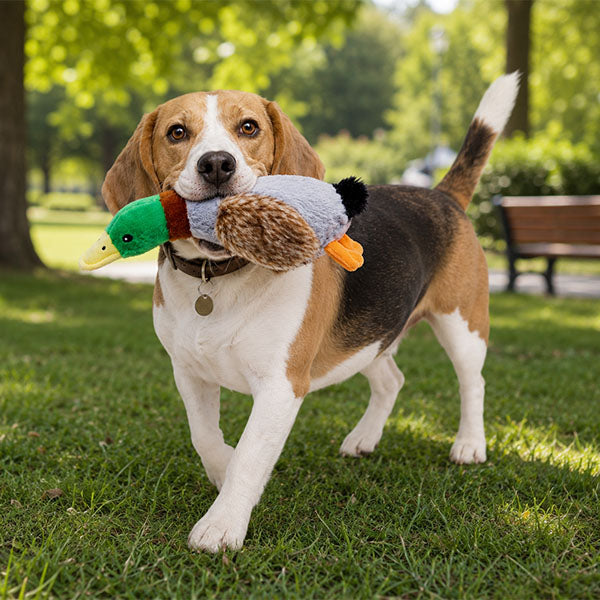 Sesli Ördek Şekilli Peluş Köpek Oyuncağı